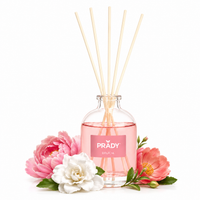 Prady Mikado 100ML – Delícia