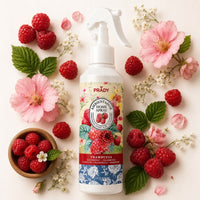 Prady Spray Ambientador 220ML Framboesa