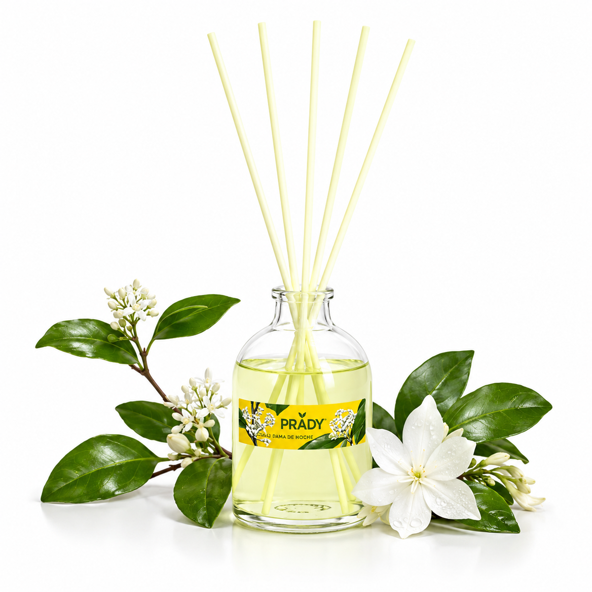 Prady Mikado 100ML – Dama da Noite