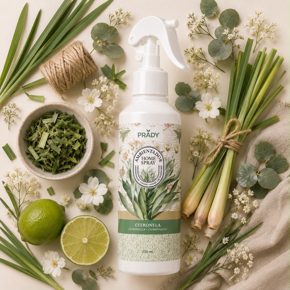 Prady Spray Ambientador 220ML Citronela