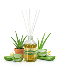 Prady Mikado 100ML – Aloe Vera