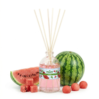 Prady Mikado 100ML – Melancia