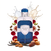 Nusuk Eau De Parfum 100ML Malikat