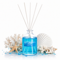 Prady Mikado 100ML – Oceano